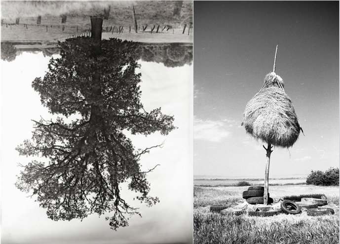 left: Rodney Graham, "Flanders Trees", 1990 – right: Lala Meredith-Vula, From the series “Haystack” (1989–)